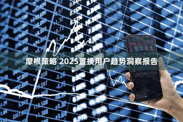 摩根策略 2025置换用户趋势洞察报告